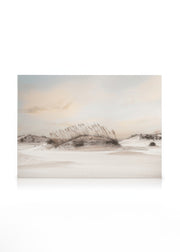 Dune Landscape Canvas print