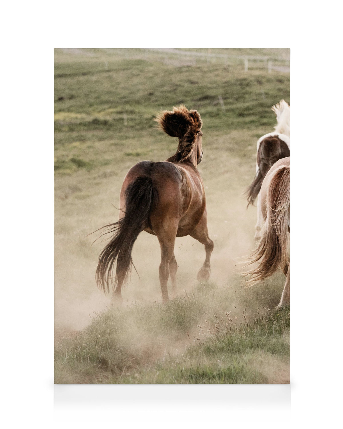 In Motion No2 Canvas print