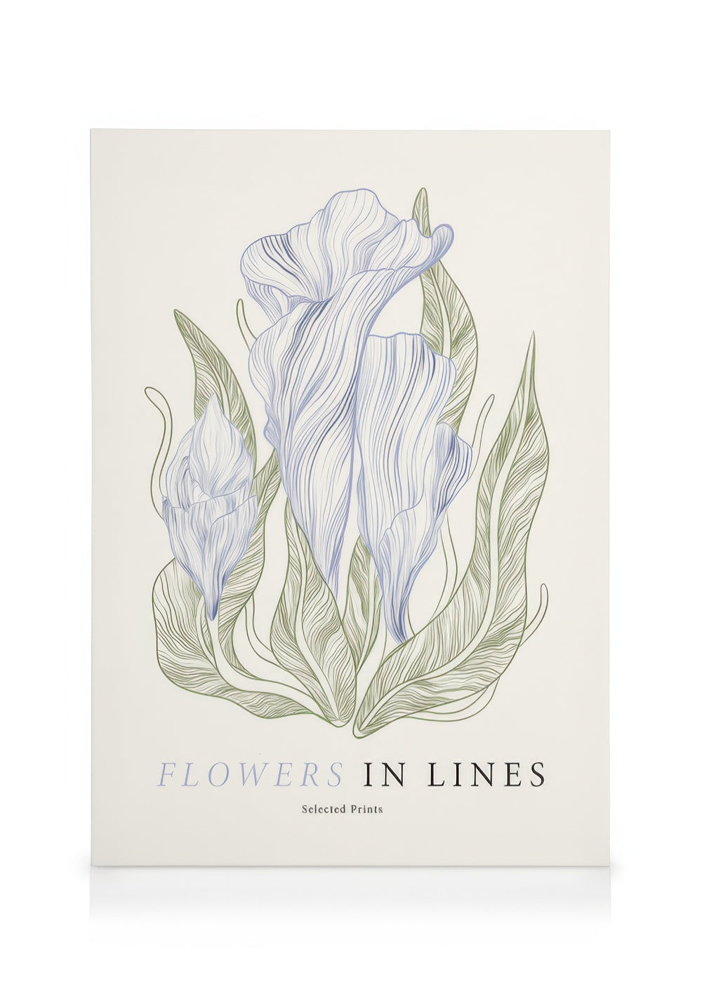 Flowers in Lines No1 Canvas print