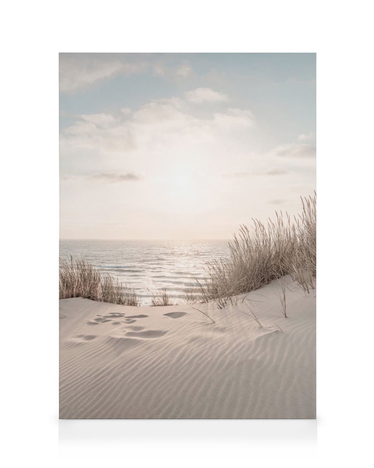 Dune Beach No2 Canvas print
