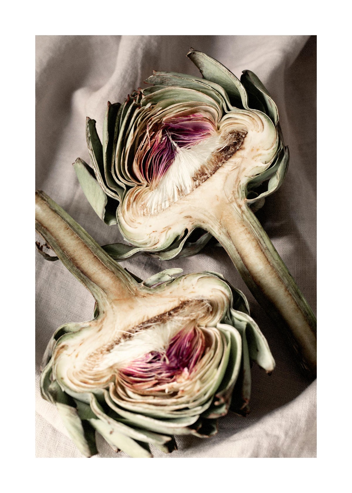 Soft Artichokes Print