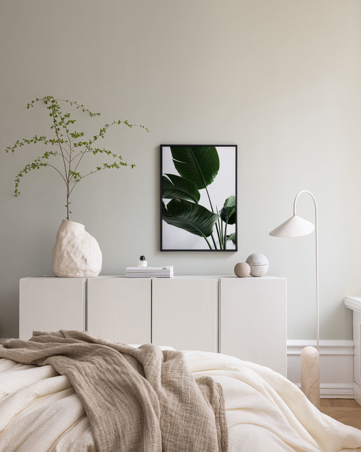 Strelitzia One Canvas print