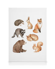 Forest Animals Canvas print
