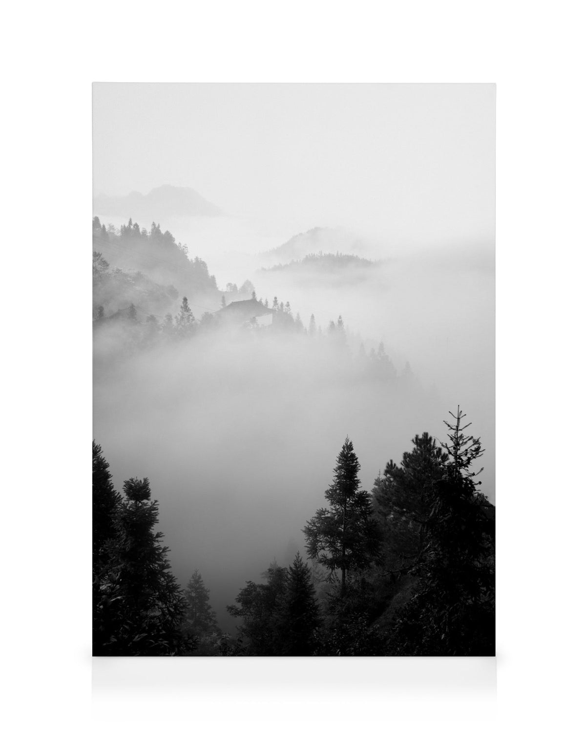 The Morning Mist Canvas print