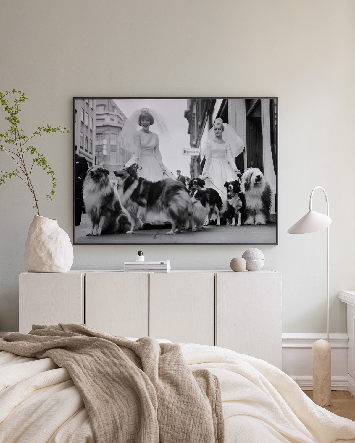 Soho Sheep Dogs Canvas print