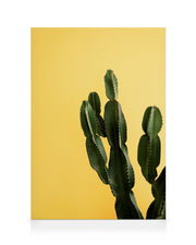 Yellow Cactus Canvas print