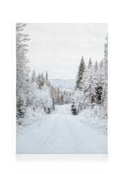 Snowy Forest Road Canvas print