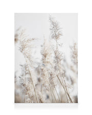 In the Reeds No2 Canvas print