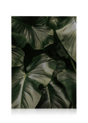 Deep Green Leaves Canvas print