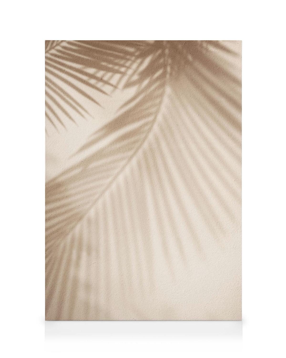 Leaf Shadow Canvas print