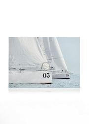 Sailboats Canvas