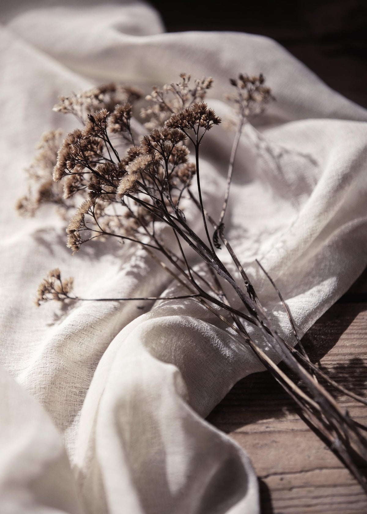 Dried Bed Print