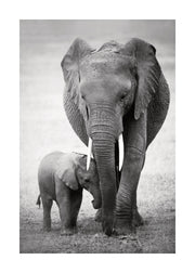 Elephant Love Print
