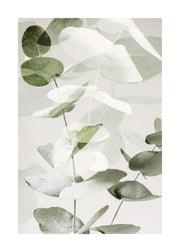 Eucalyptus Shades No2 Print