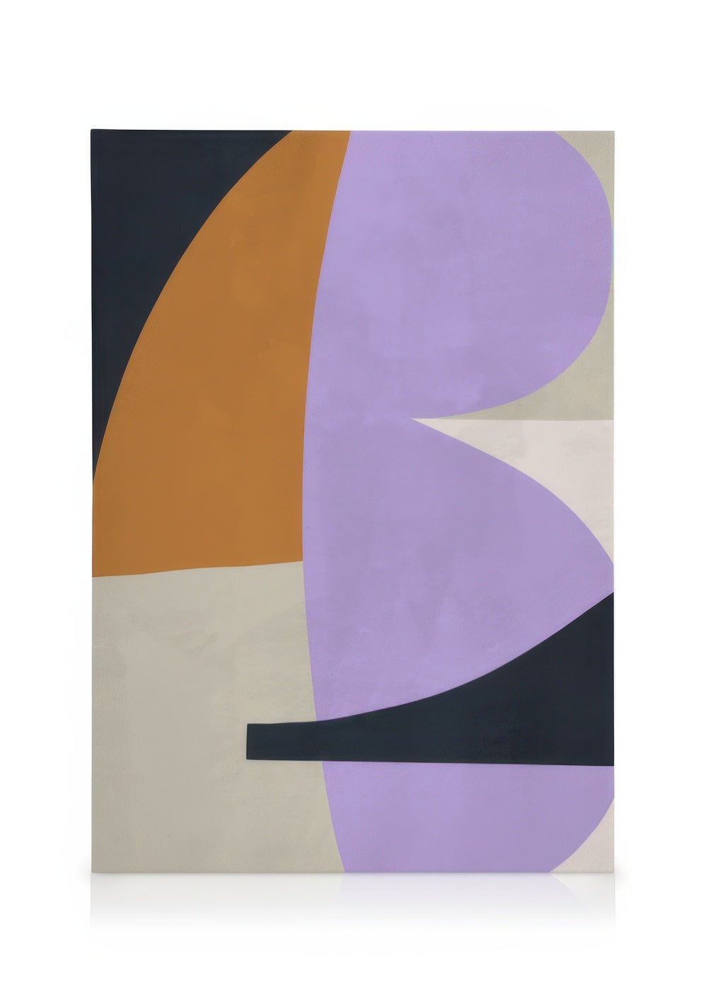 Irregular Shapes No2 Canvas print