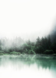 Forest Reflections Print