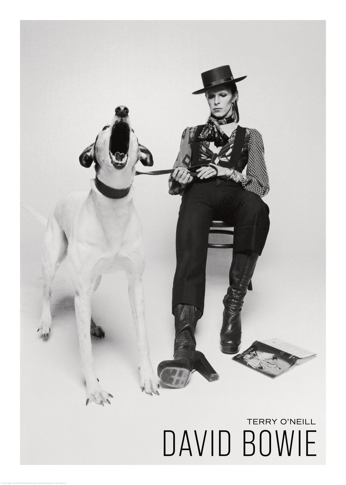 Terry O'Neill - David Bowie Print