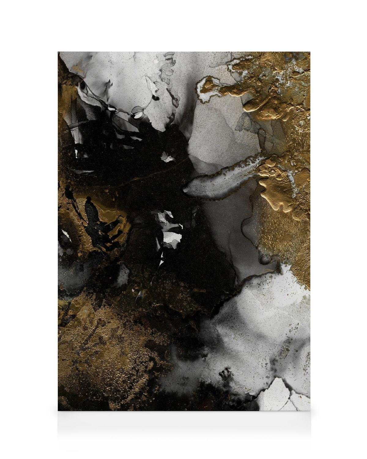 Black & Gold Canvas print