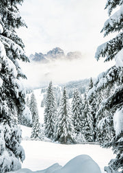 Winter Valley Print
