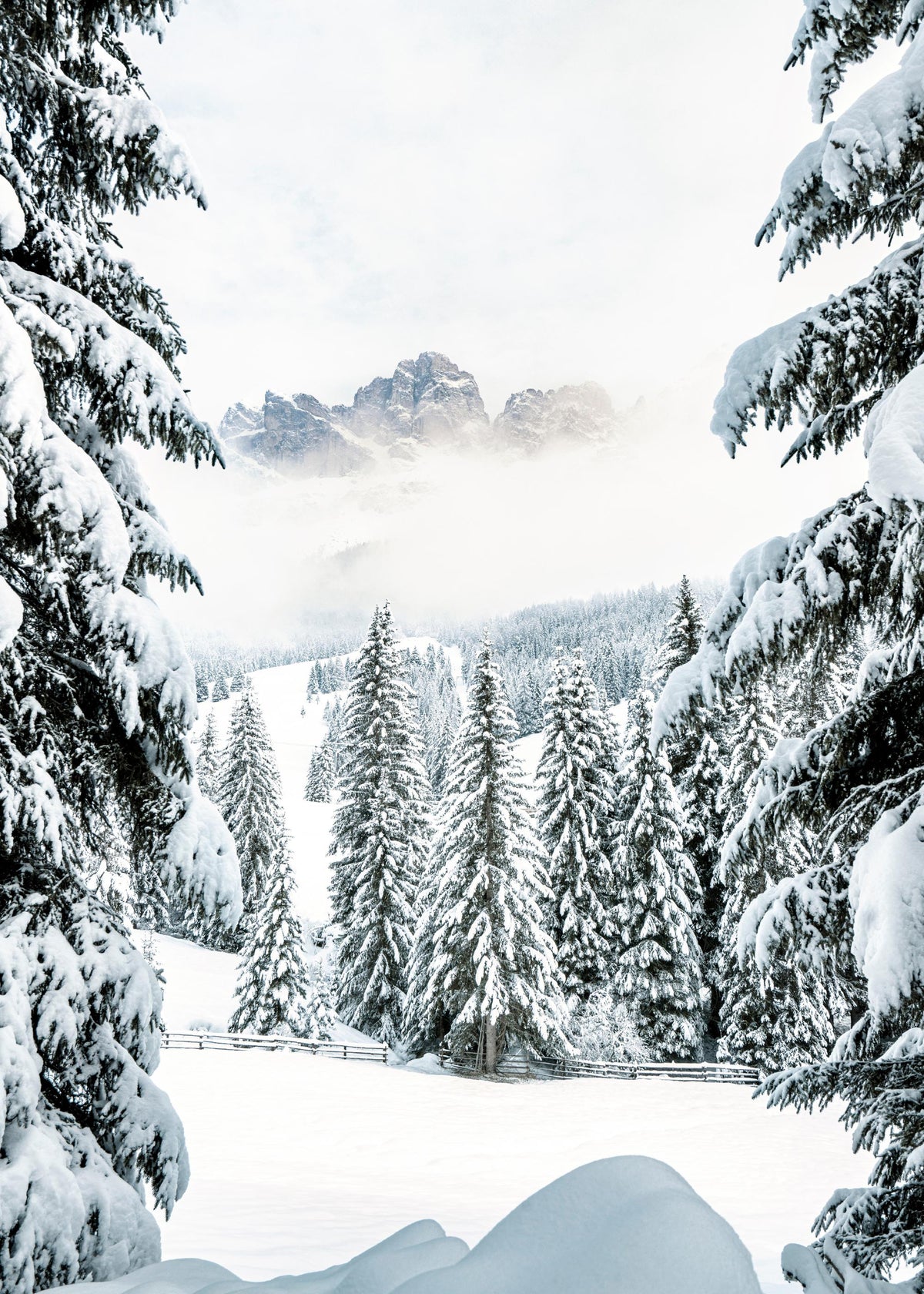 Winter Valley Print
