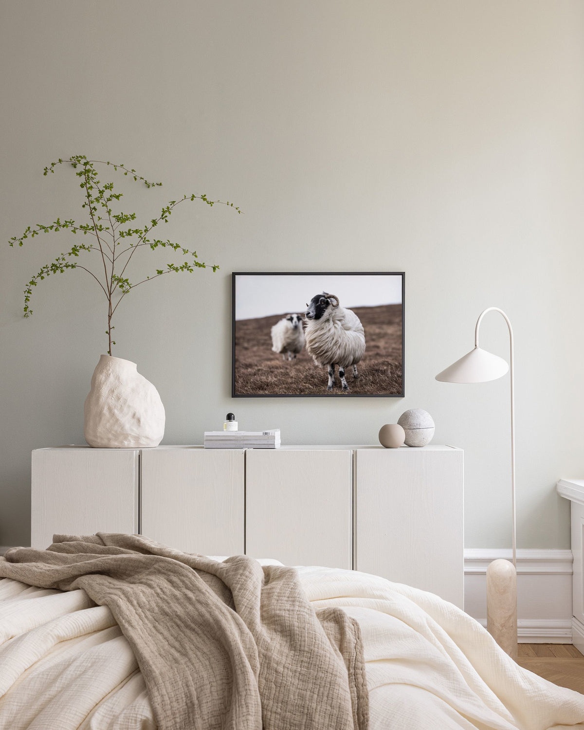 Sheep Canvas print