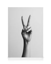 Peace Sign Canvas print