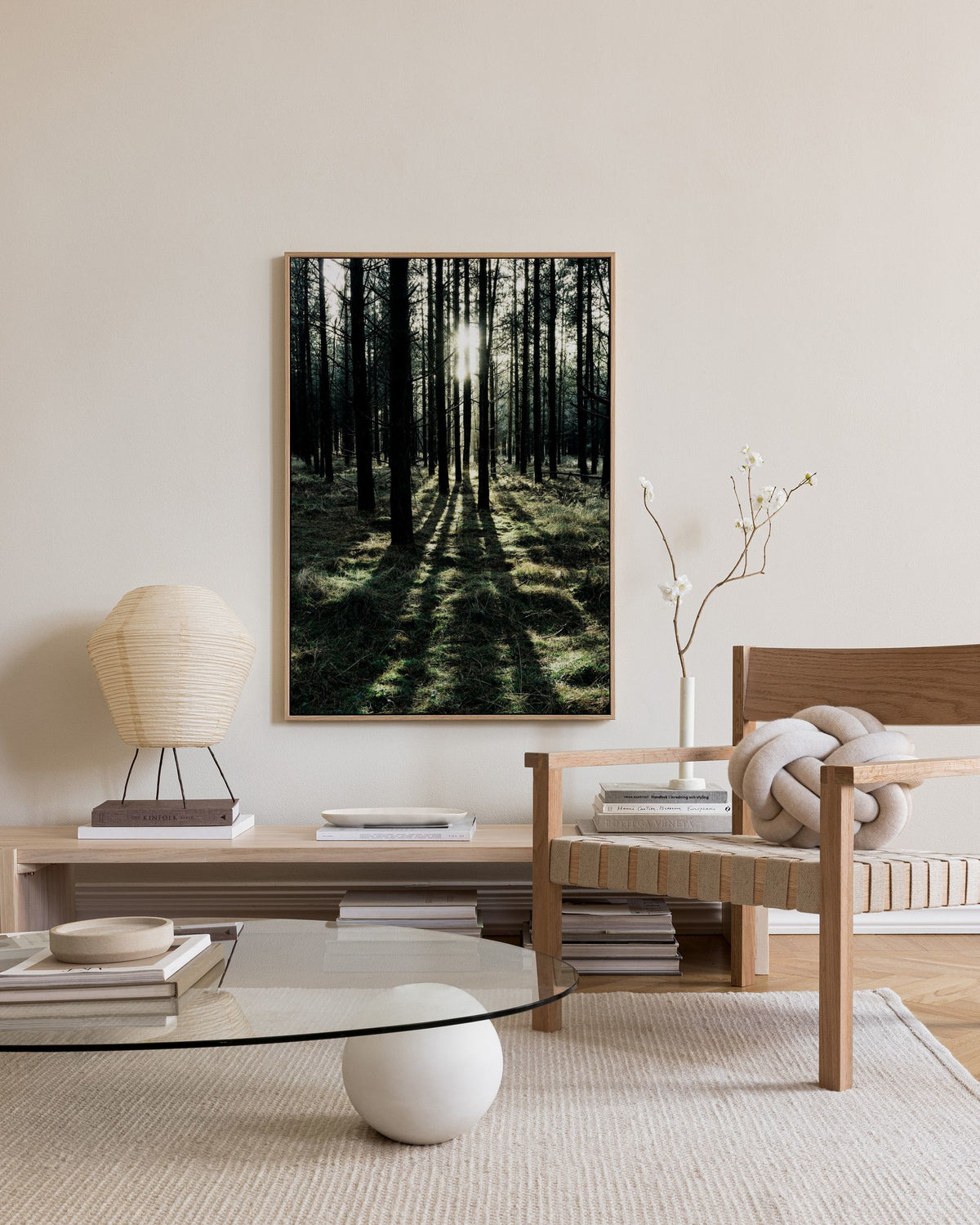 Sunlight In Forest Canvas print