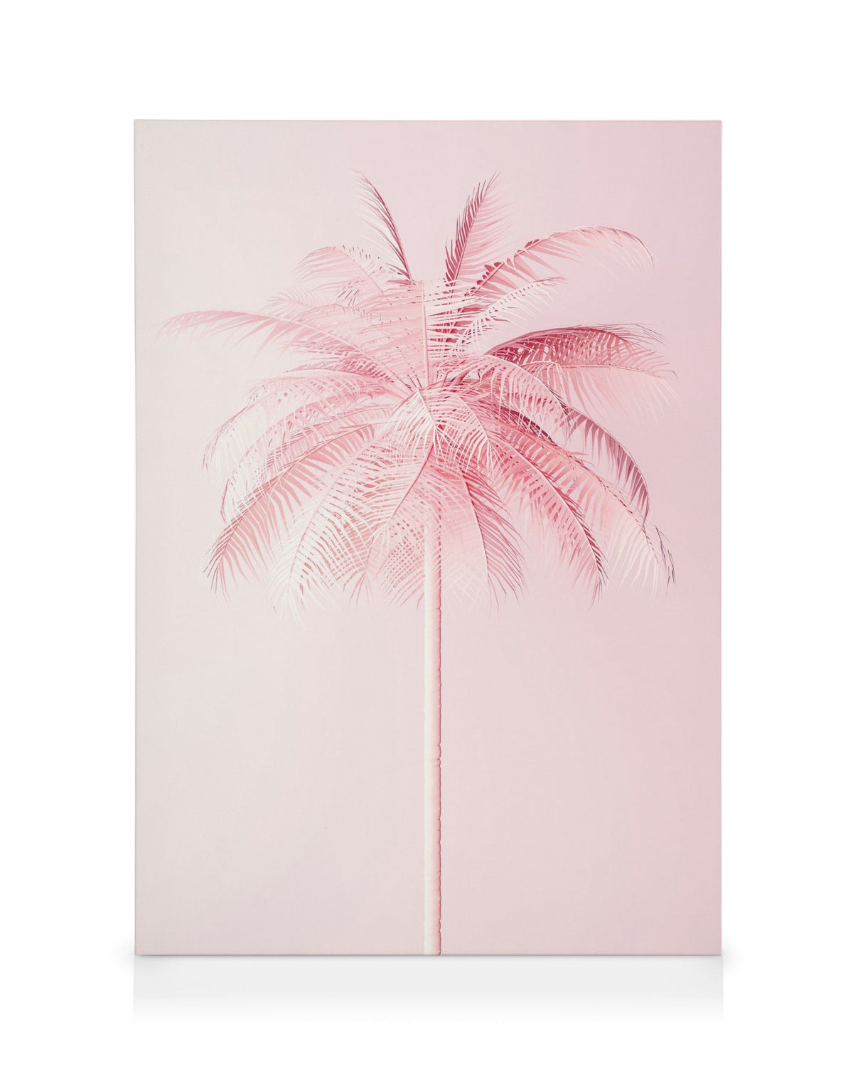 Pastel Pink Palm Canvas print