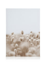 Soft Grass Canvas print
