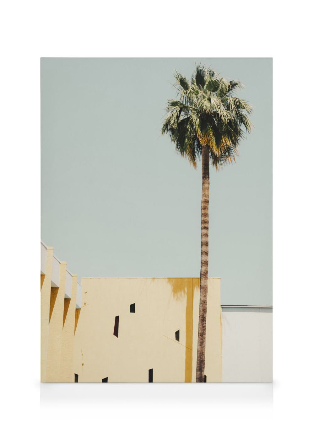 Palm Springs Serenity Canvas print