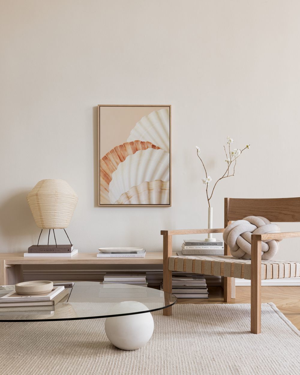 Shell Collection Canvas