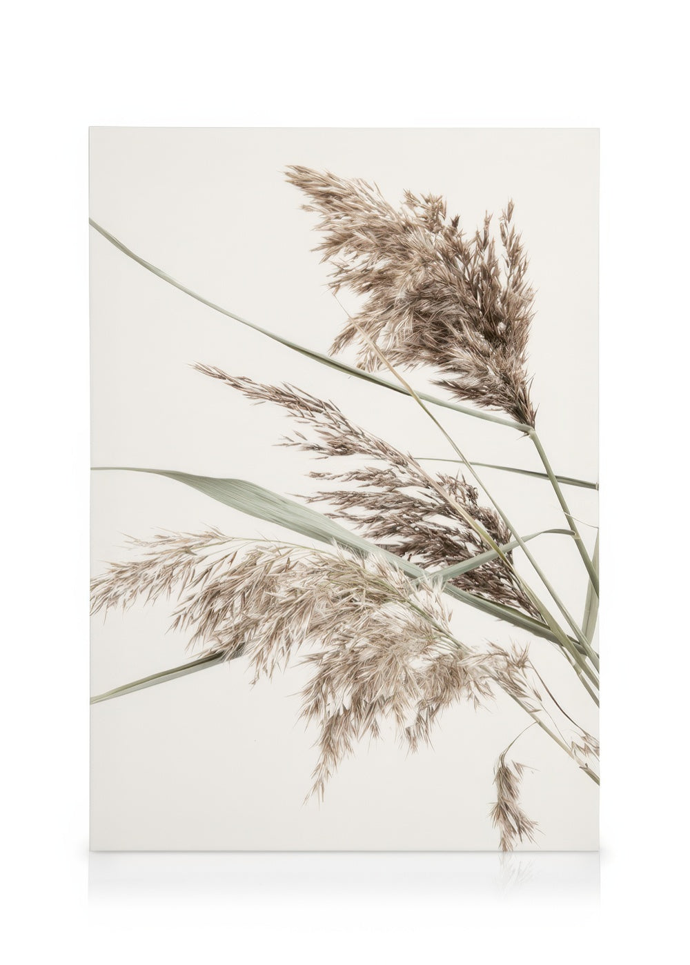 Boho Grass Canvas print