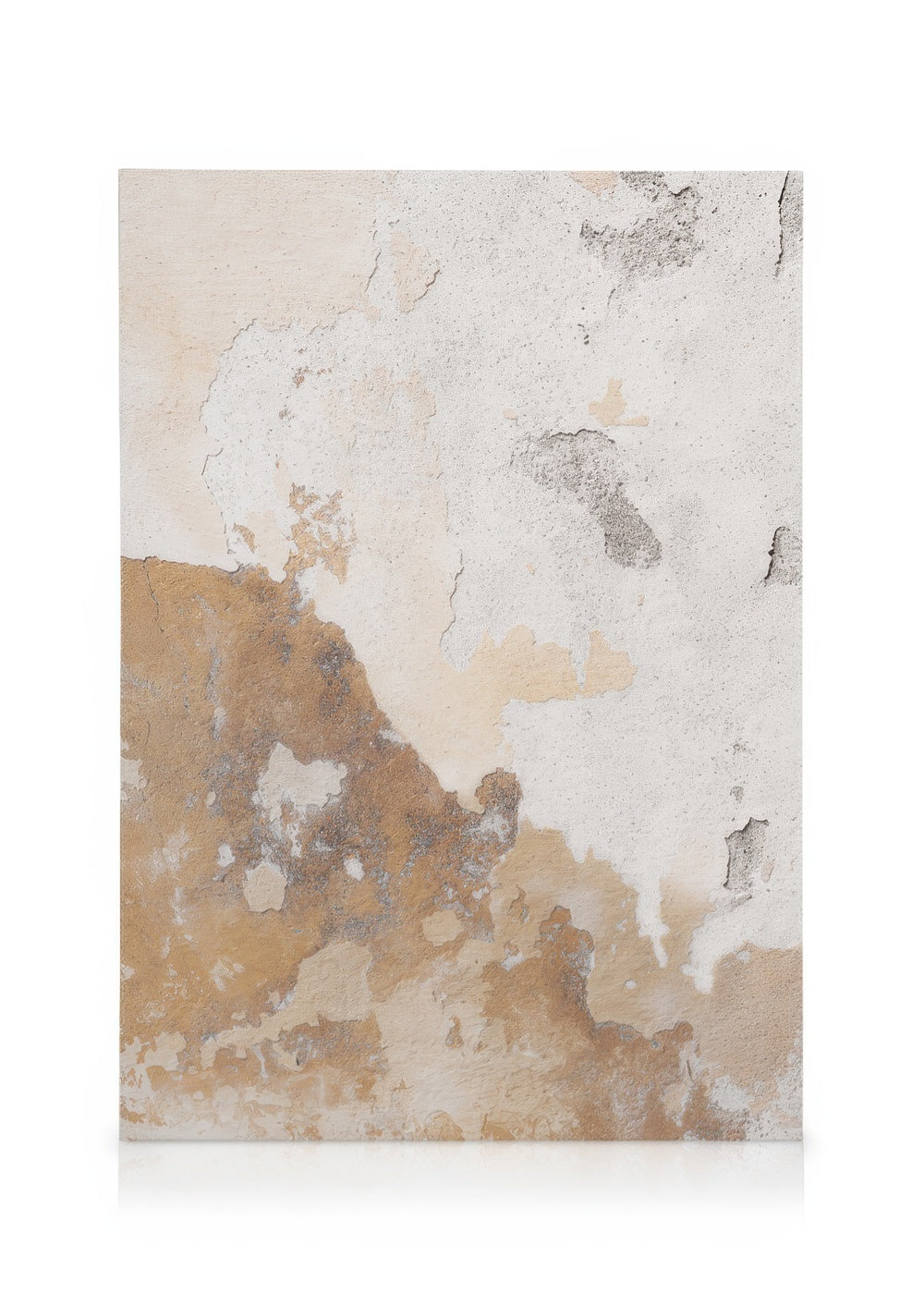 Raw Concrete Wall No4 Canvas print