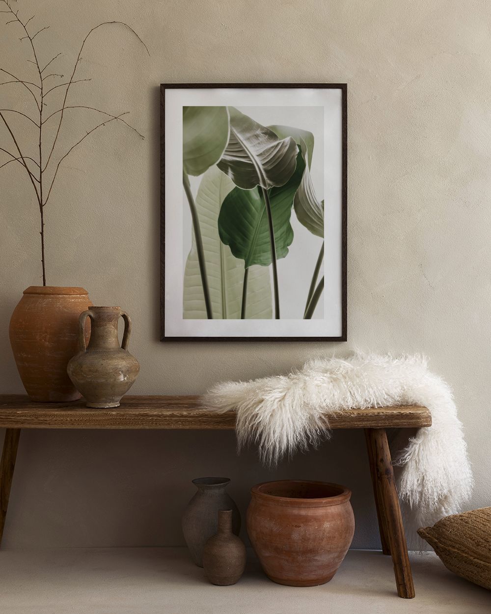 Strelitzia Plant No1 Print