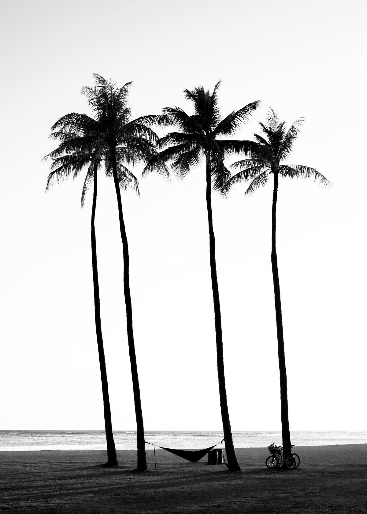 Palm Trees on Beach Print