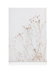 Grass In Soft Tones Canvas print