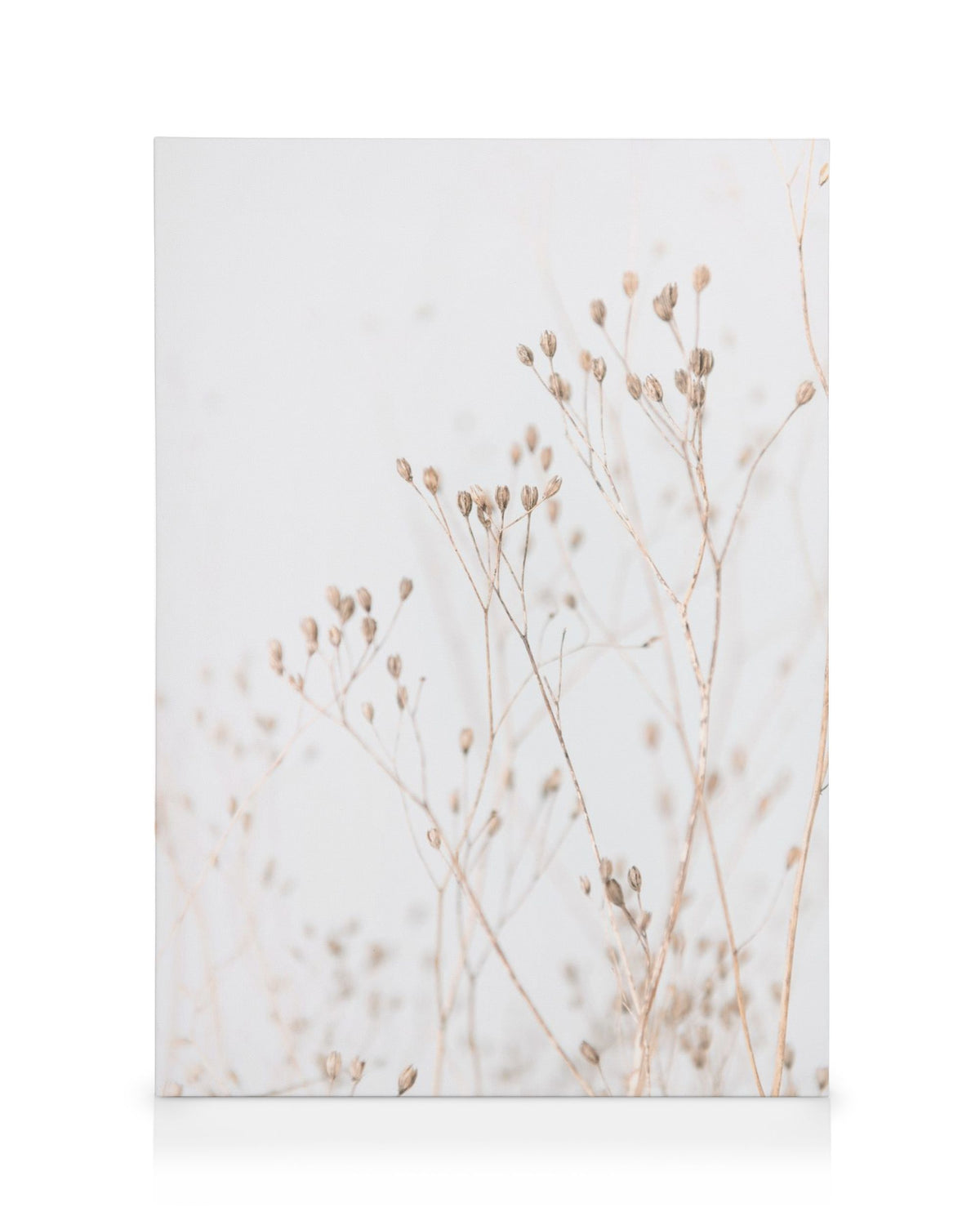 Grass In Soft Tones Canvas print