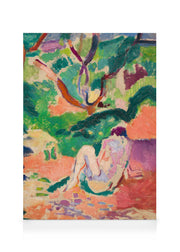 Matisse - Nude in a Wood Canvas print