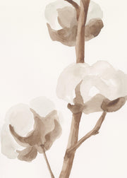 Aquarelle Cotton Flowers Print