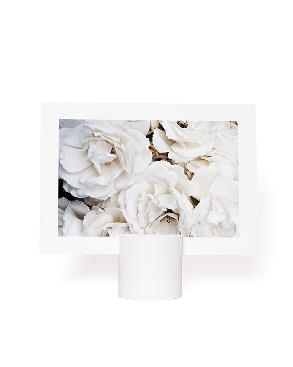 Poster Stand White Cylinder